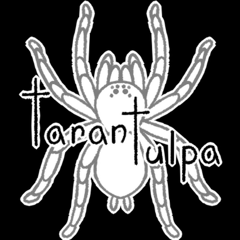 Photo de la chaîne de TaranTulpa