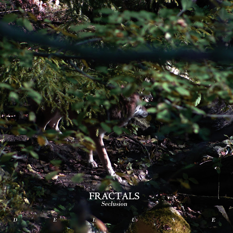 Photo de la chaîne de Fractals - Topic