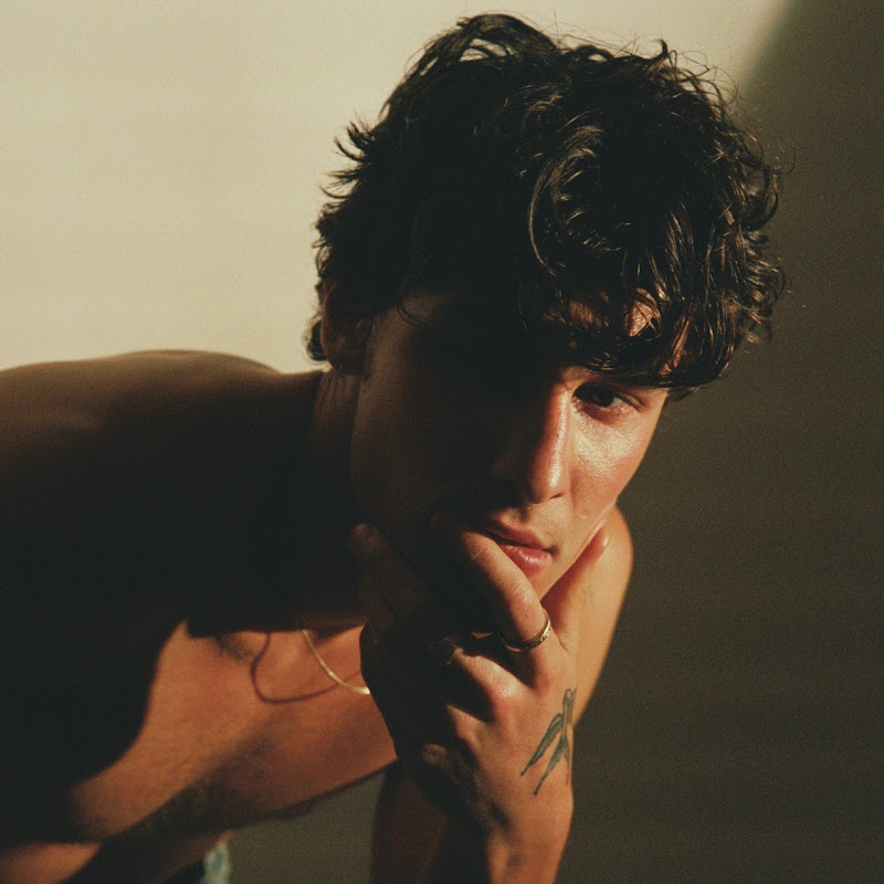 Photo de la chaîne de ShawnMendesVEVO