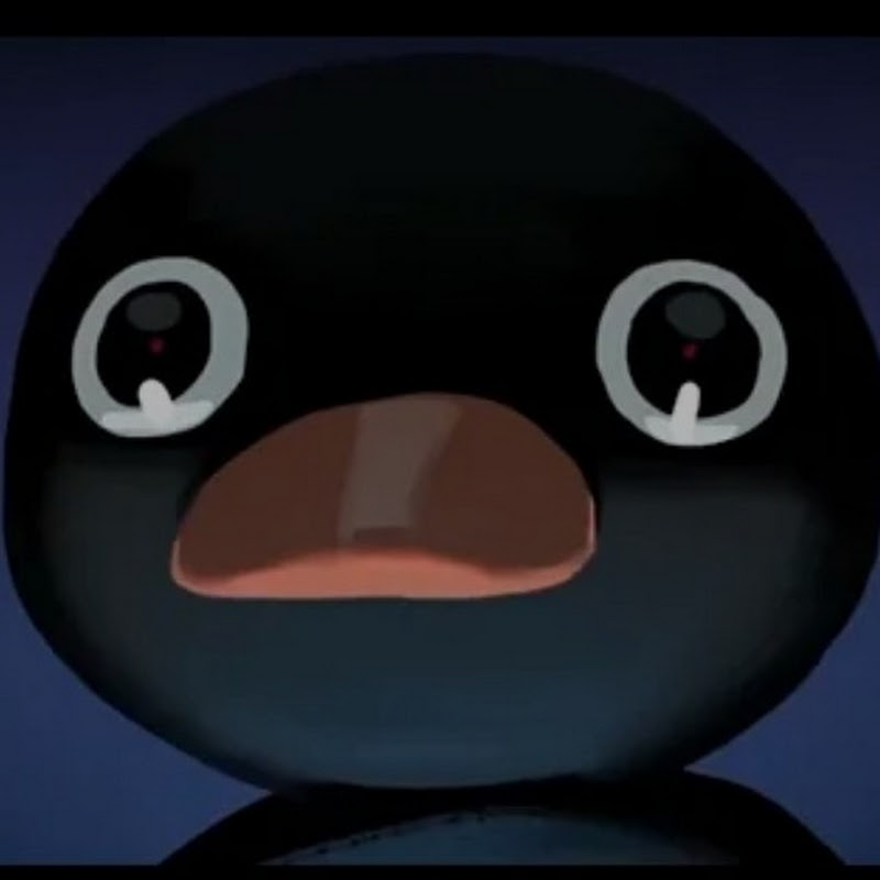 Photo de la chaîne de PINGU MEME