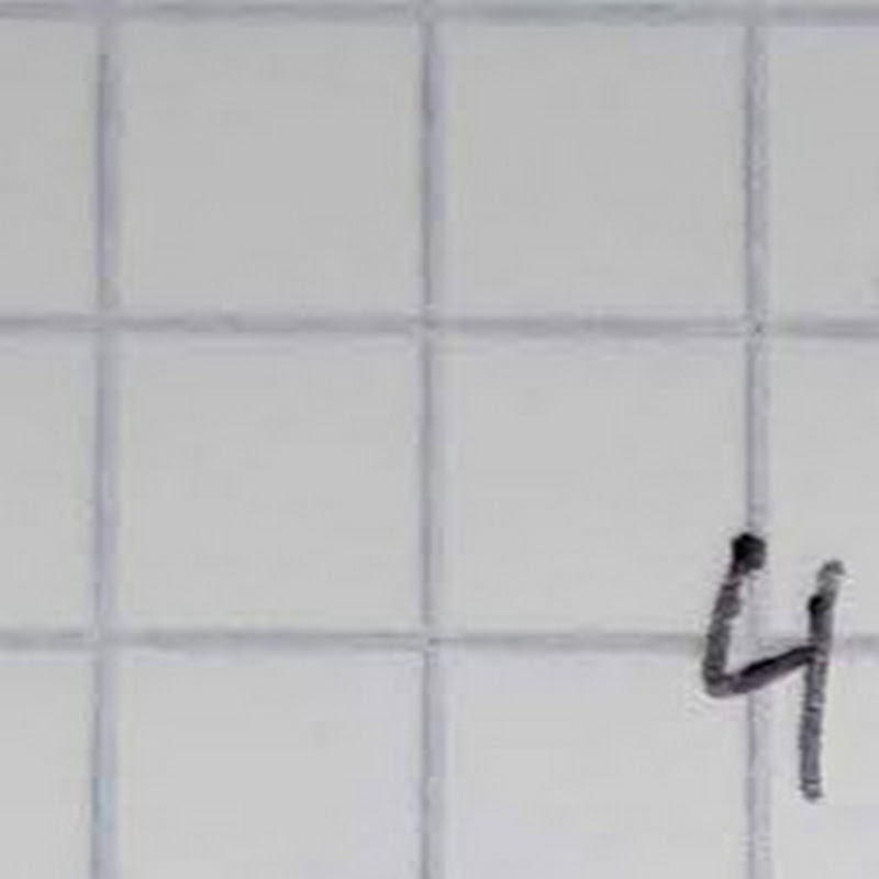 Photo de la chaîne de K Klein