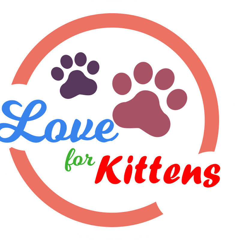 Photo de la chaîne de Love for Kittens