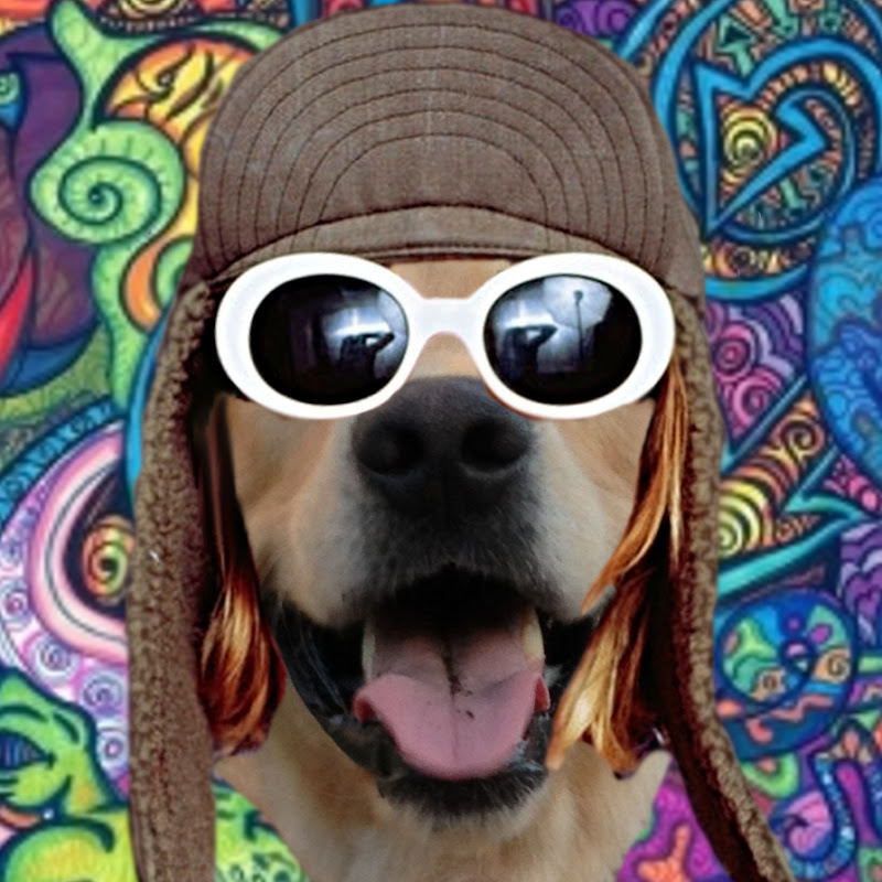 Photo de la chaîne de Lars von Retriever