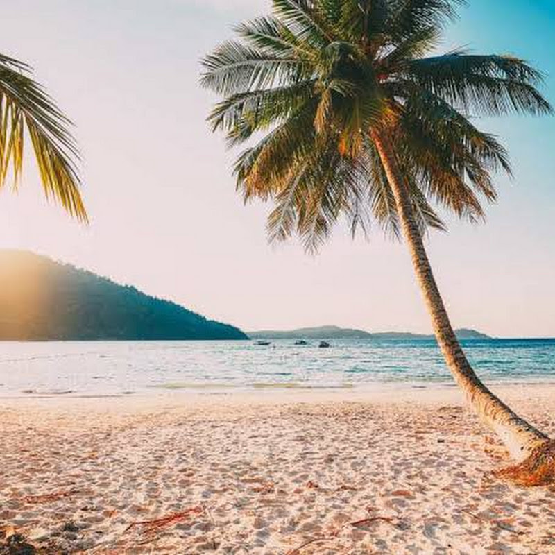 Photo de la chaîne de Positive Vibes