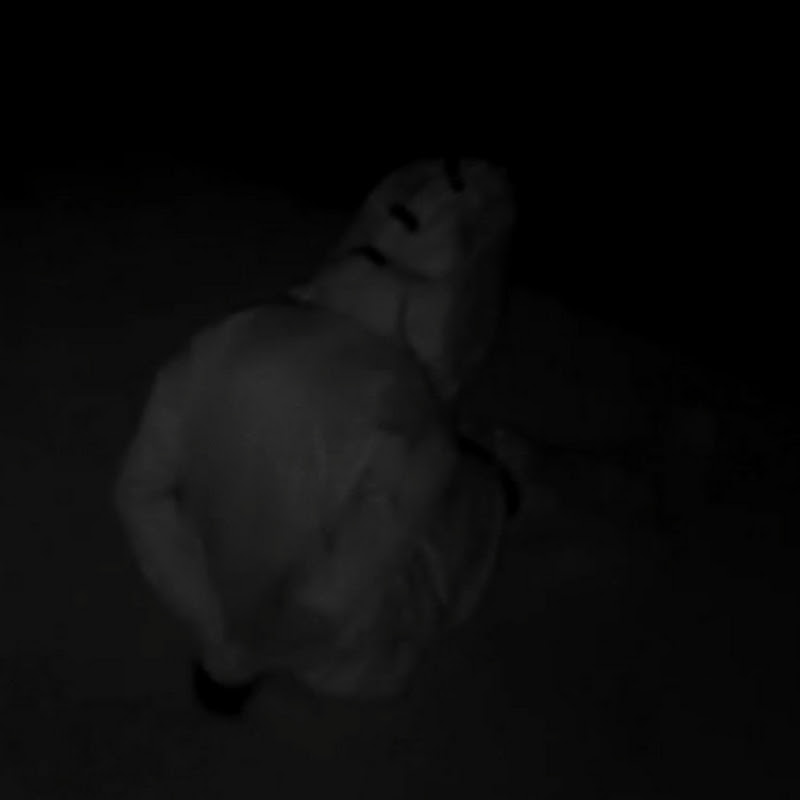 Photo de la chaîne de the experiment