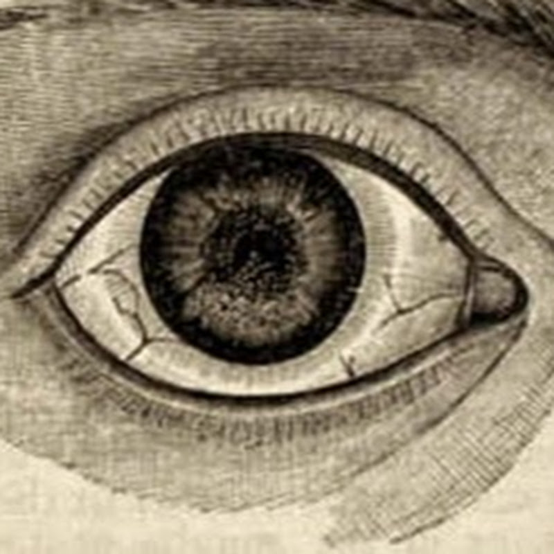 Photo de la chaîne de venicebeachfreakshow