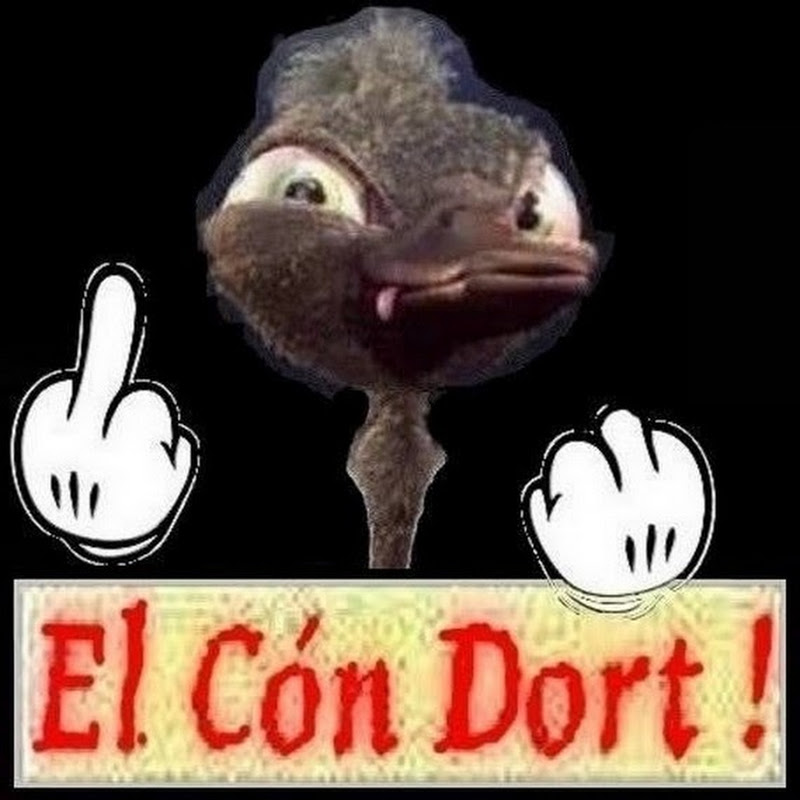 Photo de la chaîne de El Con-Dort