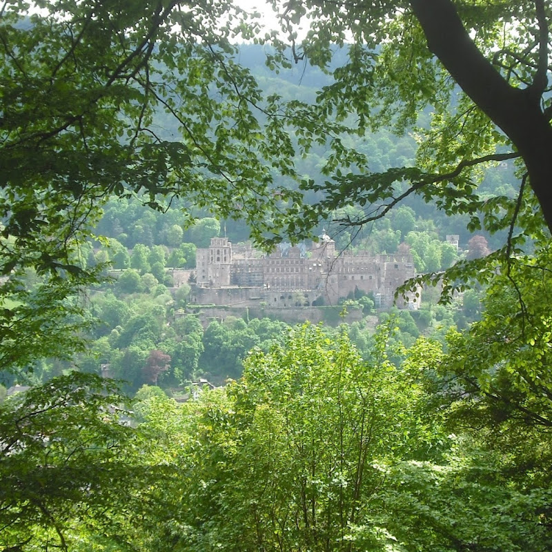 Photo de la chaîne de Hera