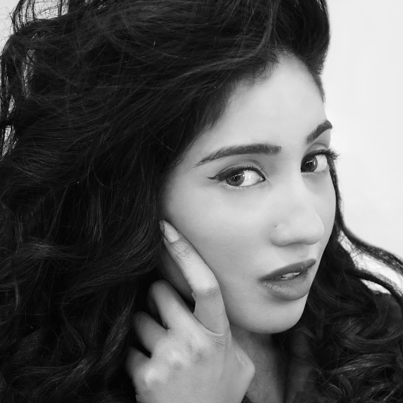 Photo de la chaîne de Polyglot Stories