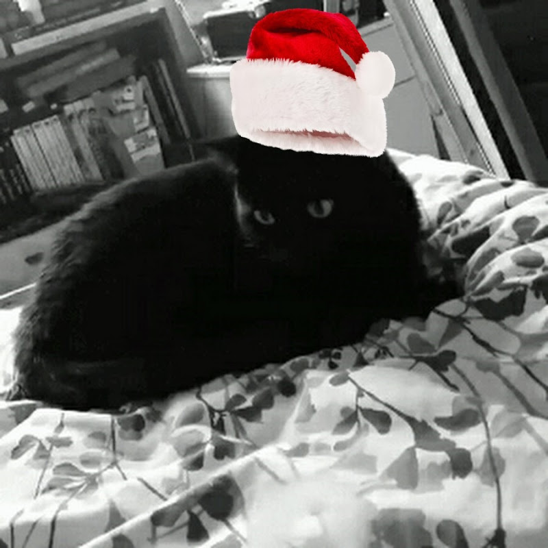 Photo de la chaîne de x