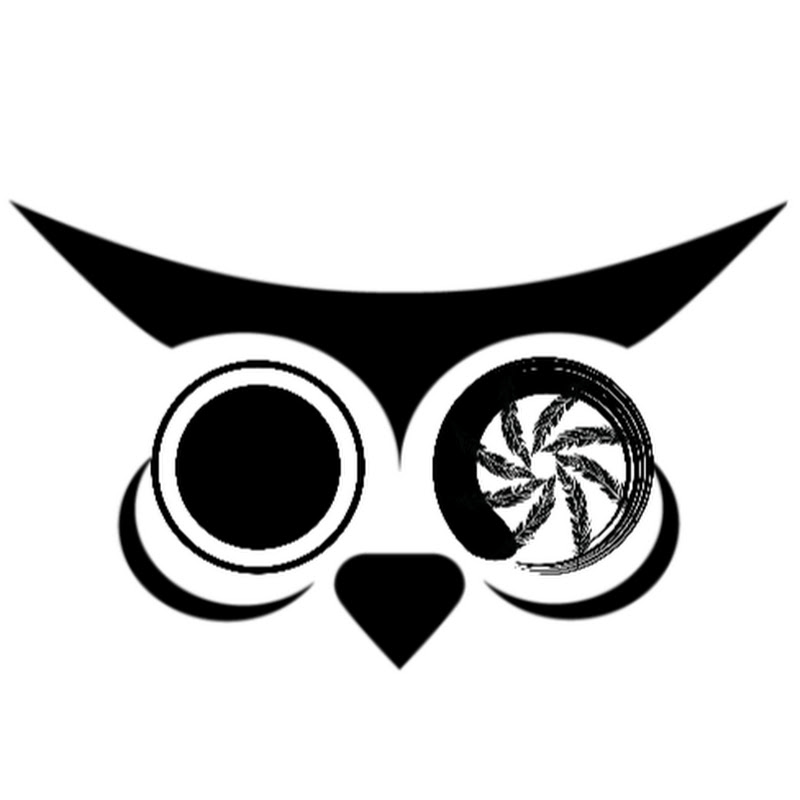 Photo de la chaîne de Photo Owl Time Lapse