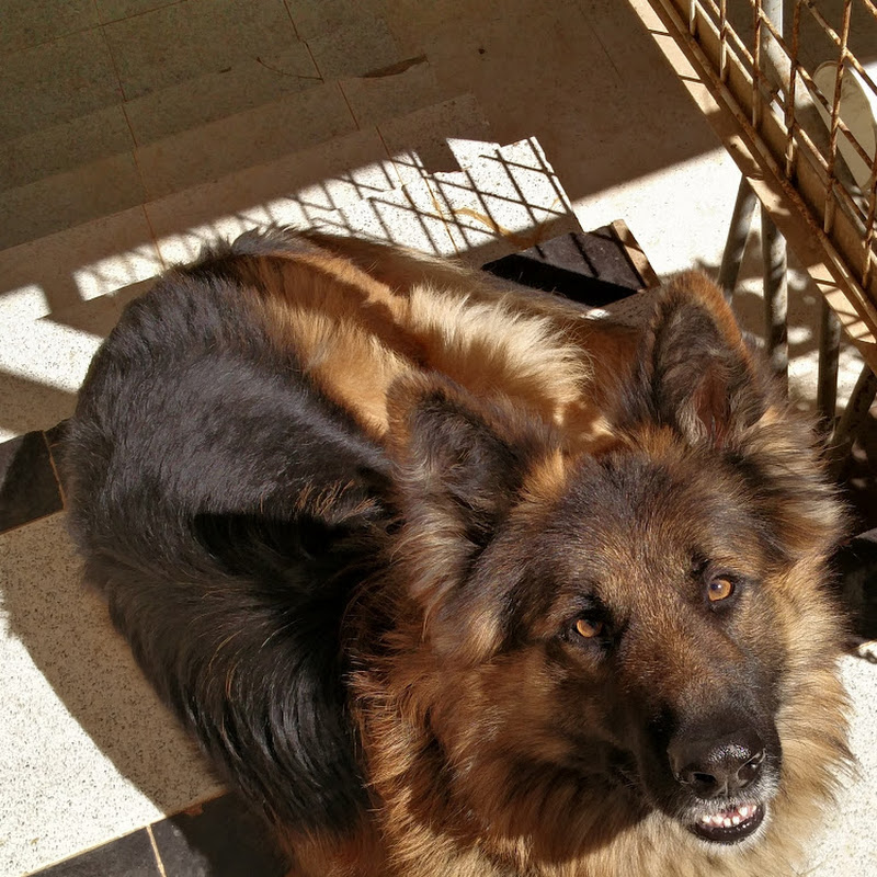 Photo de la chaîne de Tarek Réda BEN