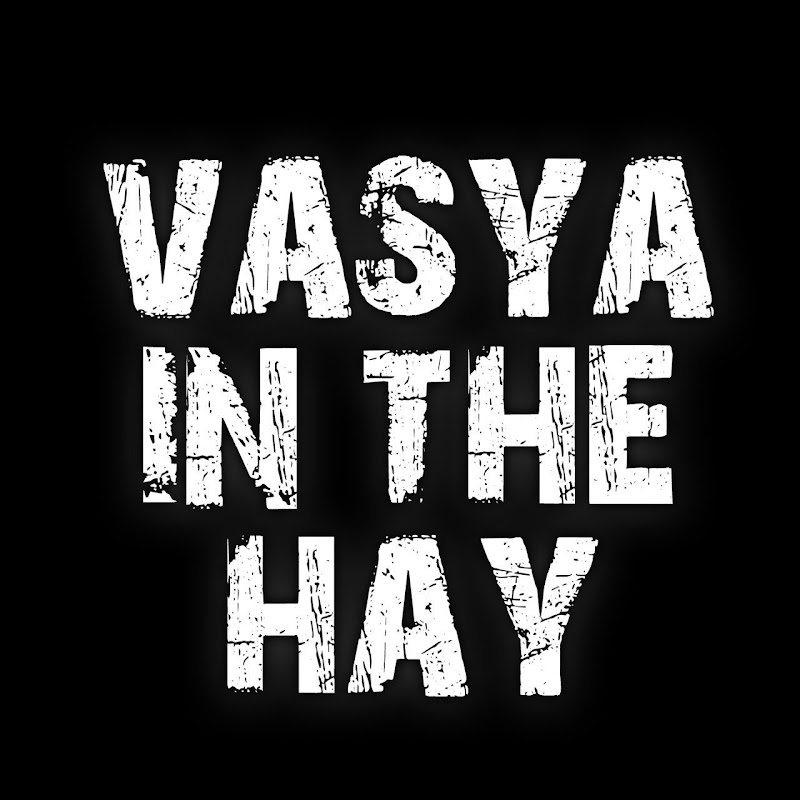 Photo de la chaîne de VASYA IN THE HAY