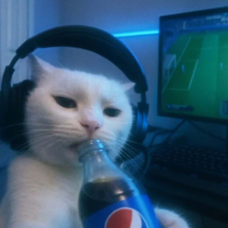 Photo de la chaîne de Leo Clips