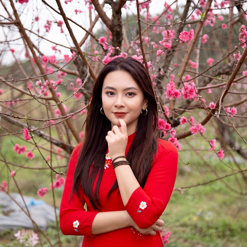 Photo de la chaîne de What The Pho 