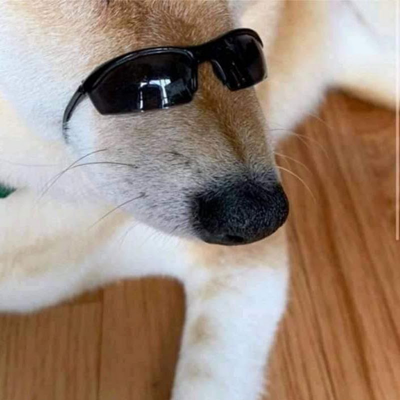 Photo de la chaîne de Minh Khuê