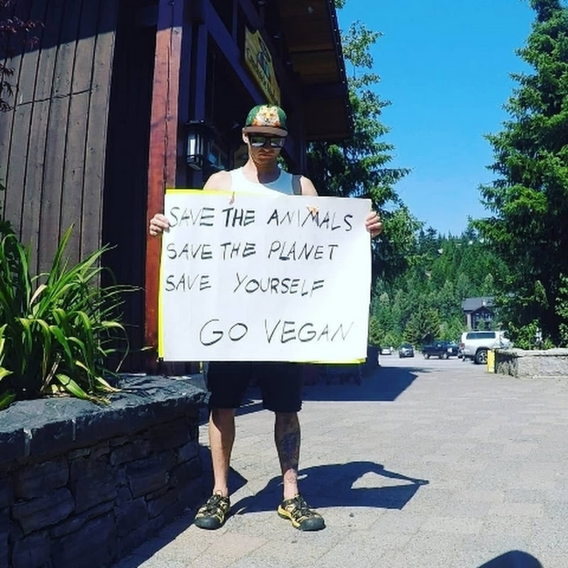 Photo de la chaîne de RobinHood6143