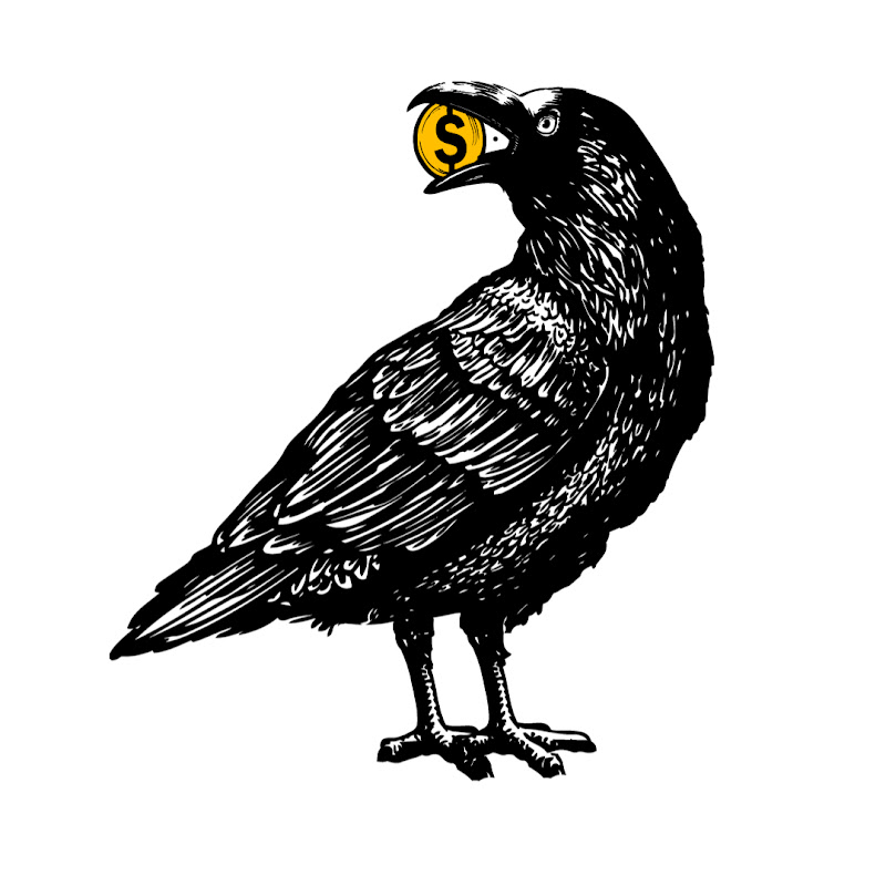 Photo de la chaîne de Economic Raven