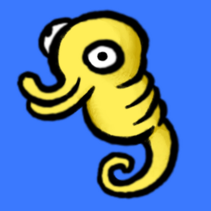 Photo de la chaîne de The Seahorse