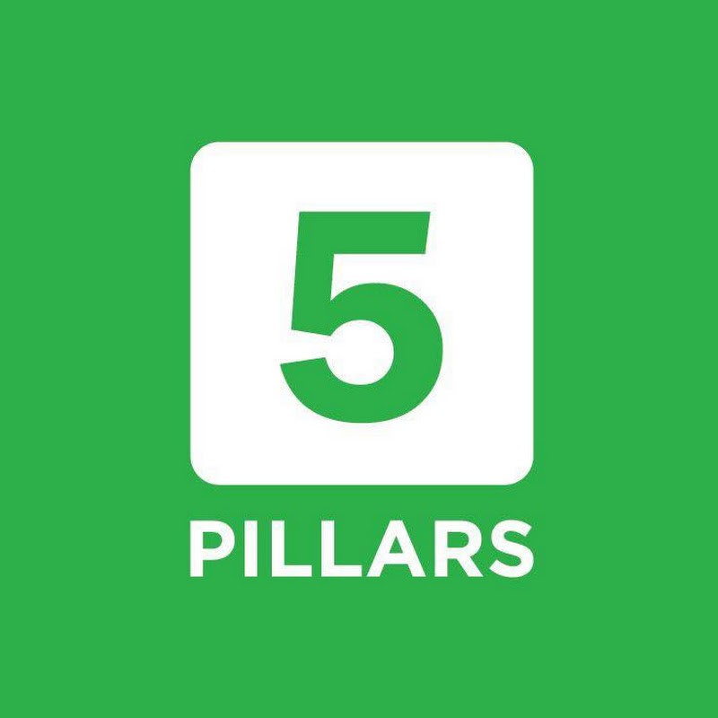 Photo de la chaîne de 5Pillars