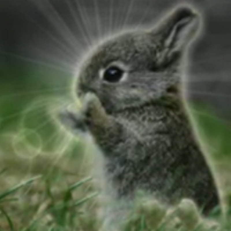 Photo de la chaîne de Thunderf00t