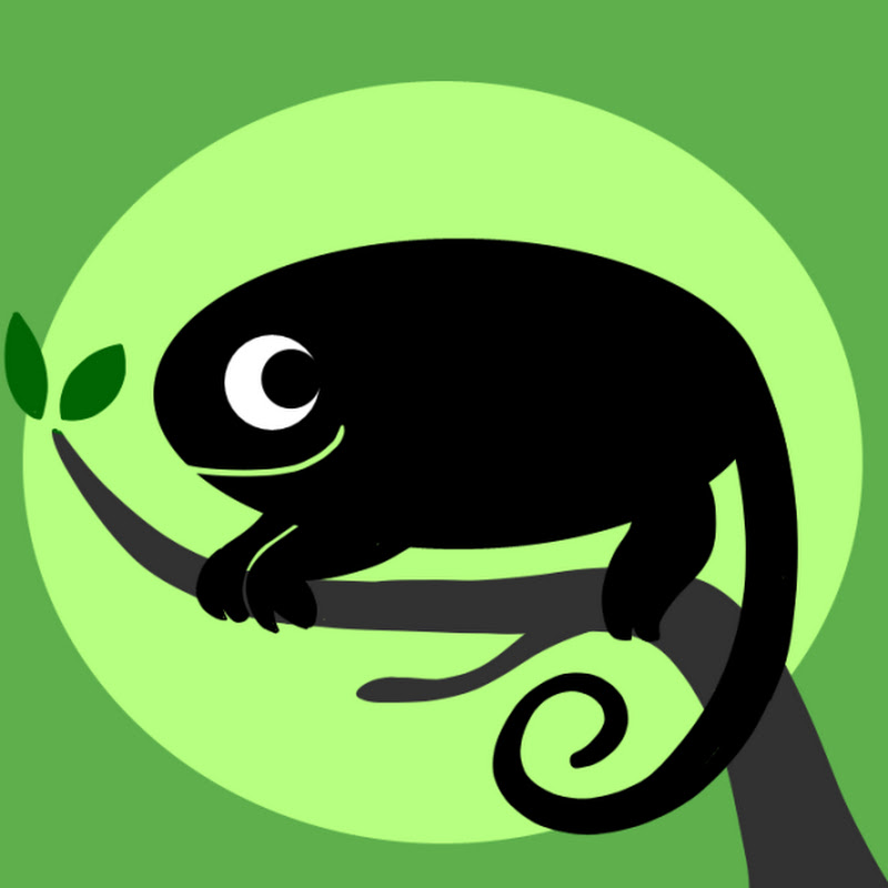 Photo de la chaîne de The Language Lizard