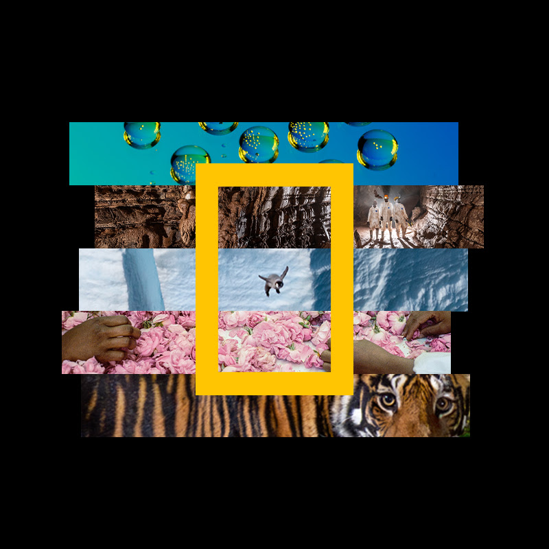 Photo de la chaîne de National Geographic