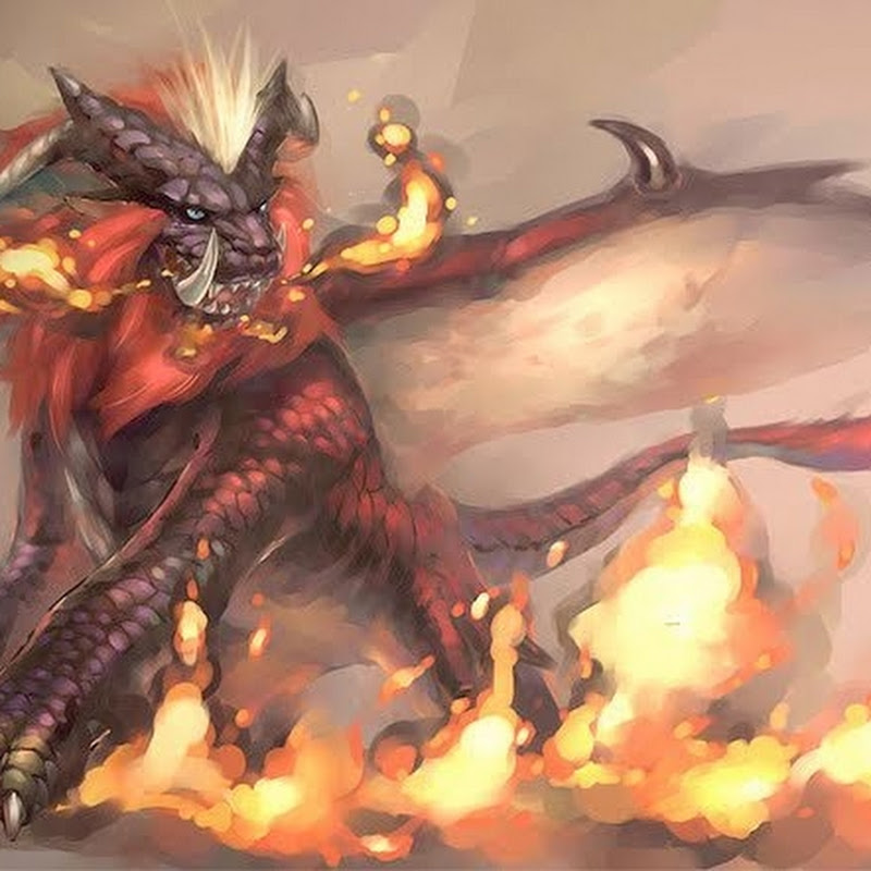 Photo de la chaîne de Sasukealgerien