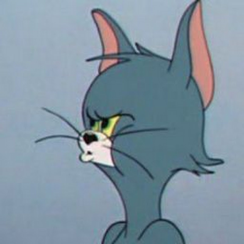 Photo de la chaîne de Tom and jerry fan 001