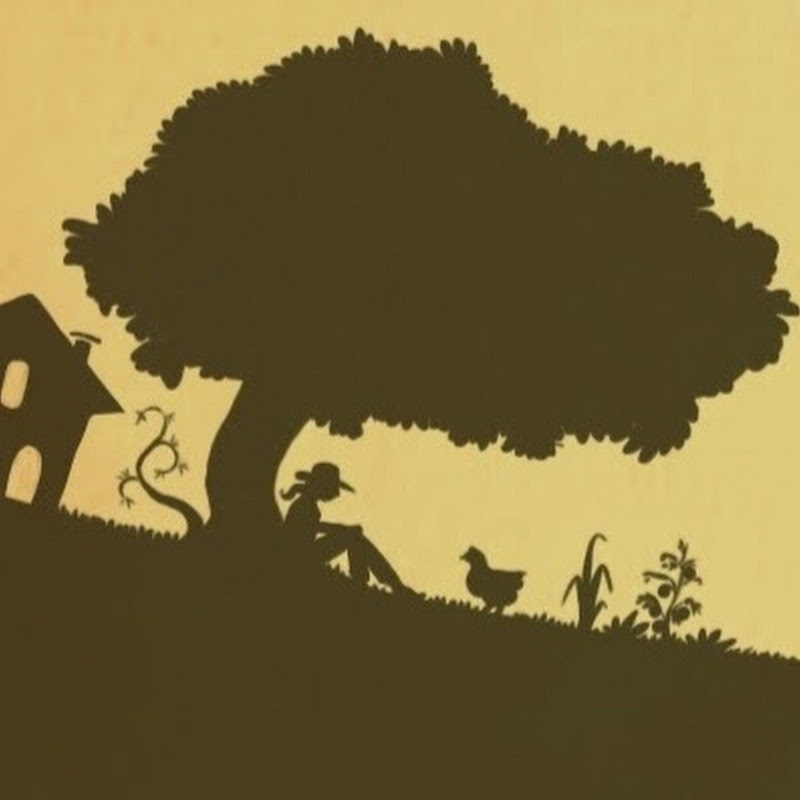 Photo de la chaîne de permaculture agroécologie etc...