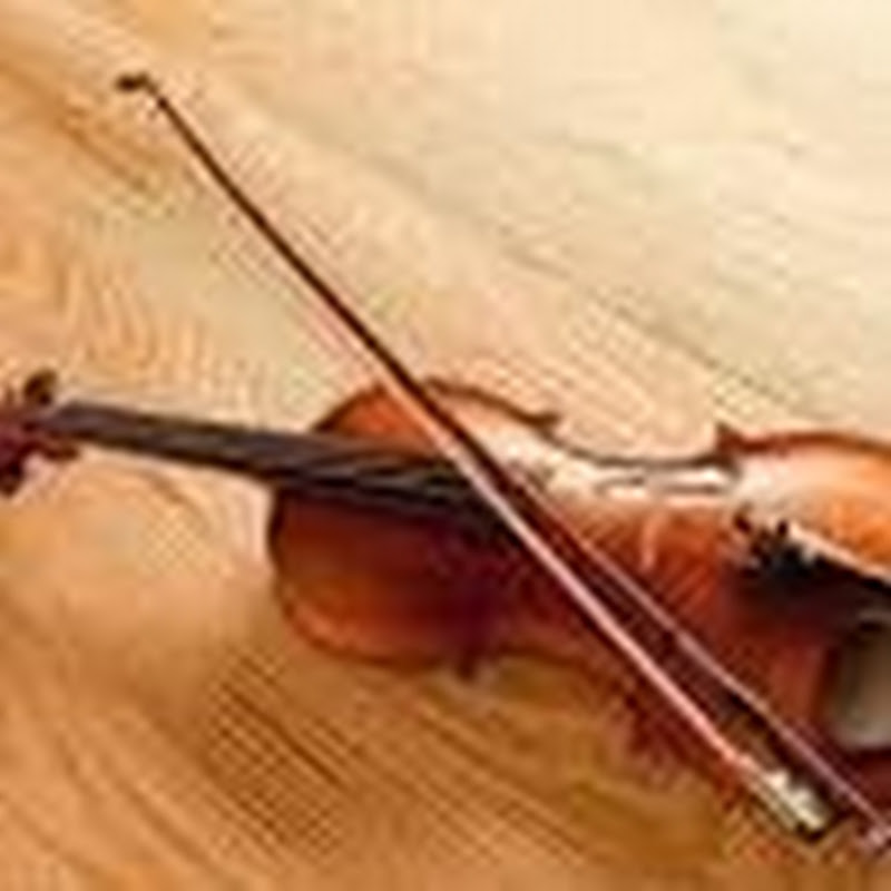 Photo de la chaîne de Everleaf Music