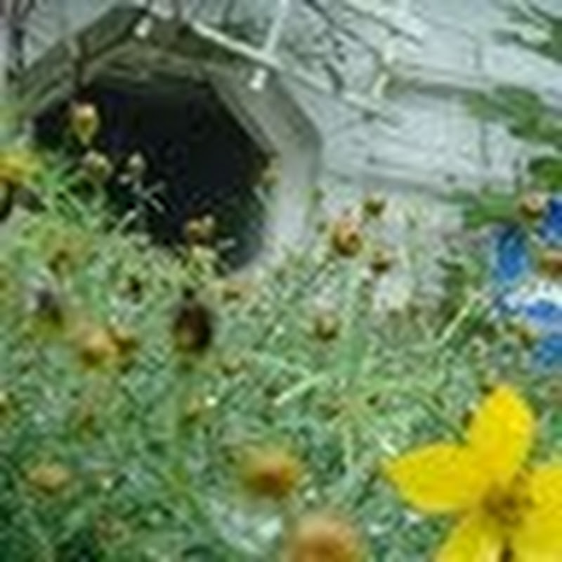 Photo de la chaîne de Hannah Kelly