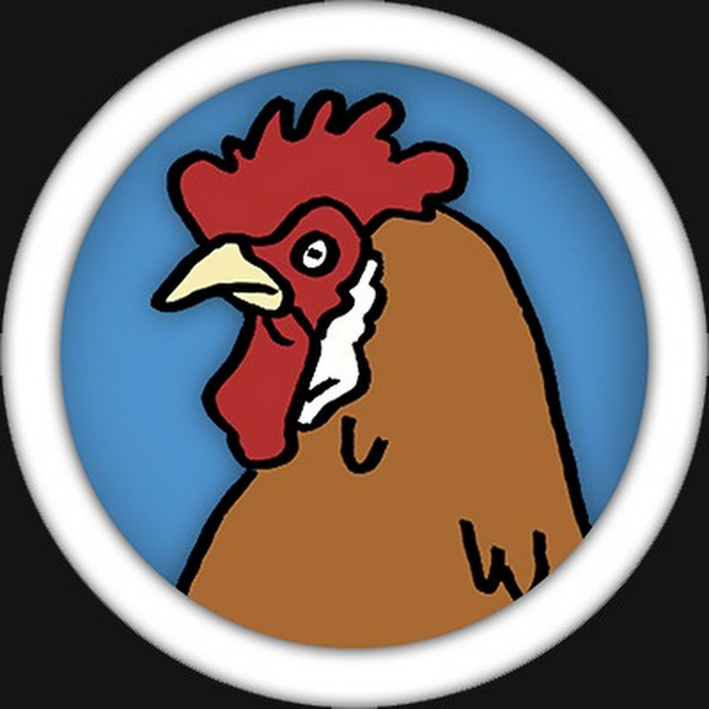 Photo de la chaîne de SomethingAboutChickens