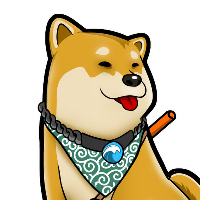 Photo de la chaîne de KyloTheDoge