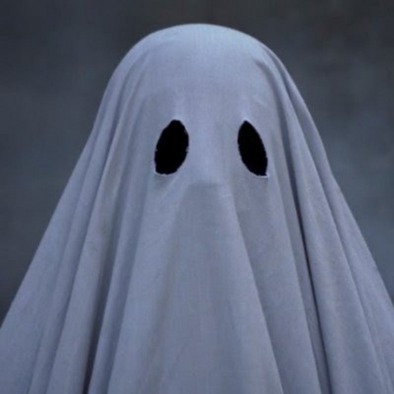 Photo de la chaîne de i'm cyborg but that's ok