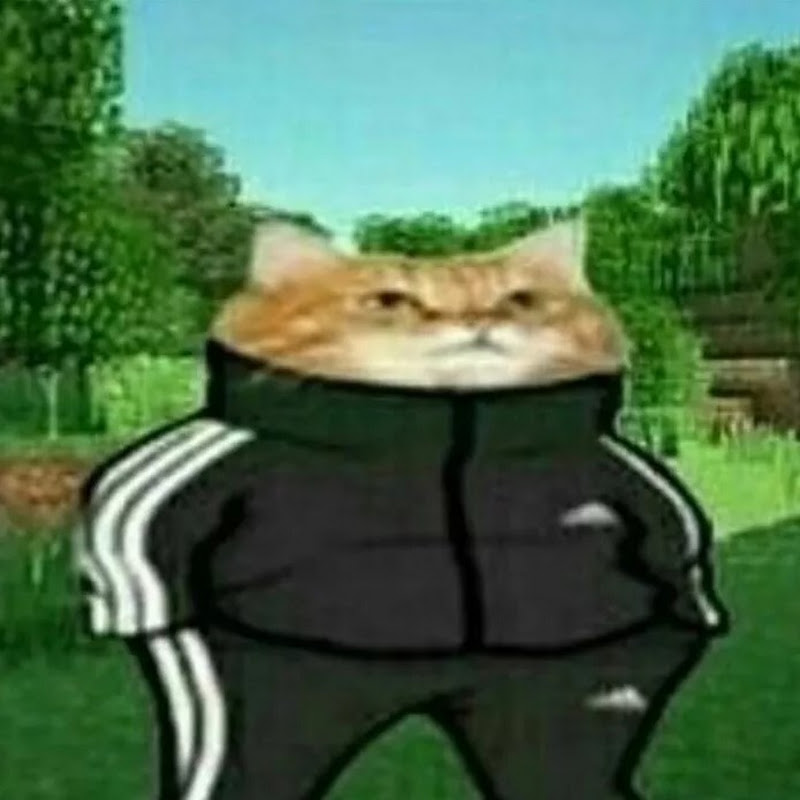 Photo de la chaîne de howdy